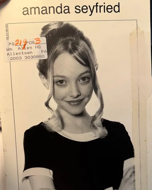 Amanda Seyfried — Instagram 2