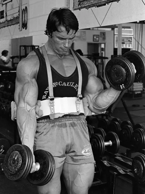 Arnold Schwarzenegger — Instagram 1