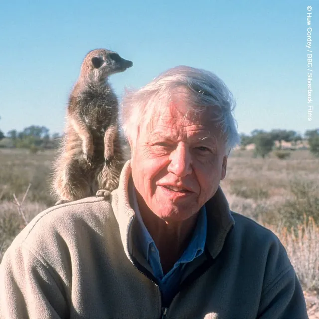 David Attenborough — Instagram 2