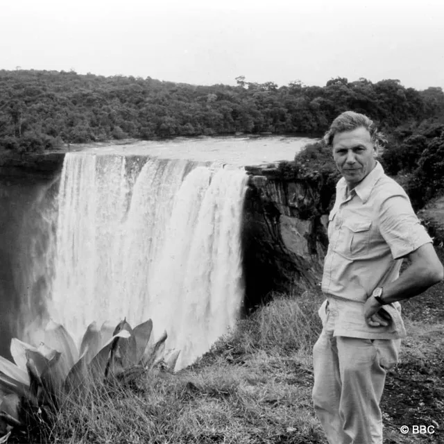 David Attenborough — Instagram 3