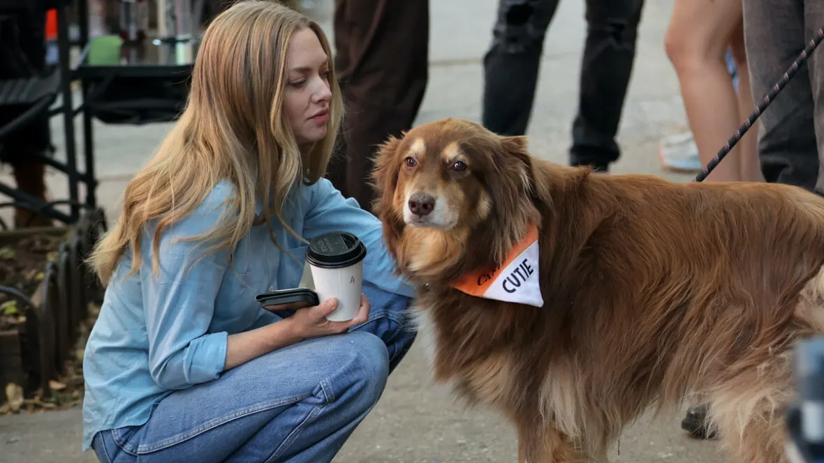 Amanda Seyfried Shares Heartfelt Tribute to Her Dog Finn