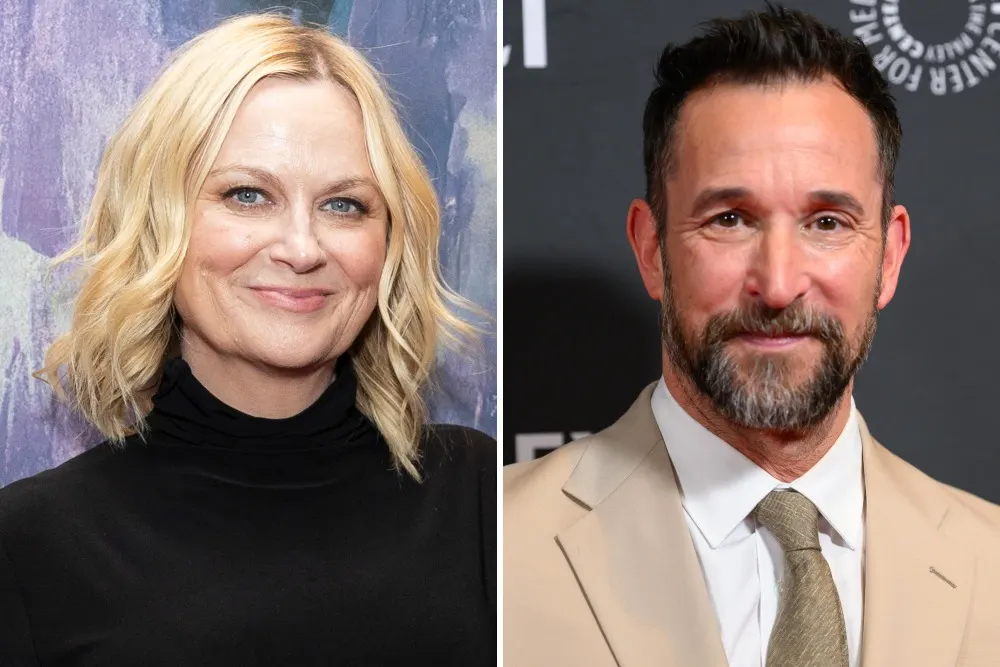 Amy Poehler Encourages More Romance on 'The Pitt' with Noah Wyle