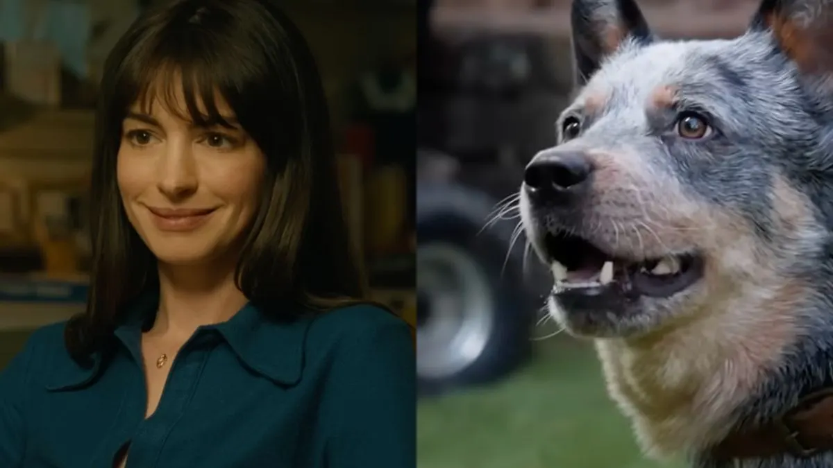 Anne Hathaway Thinks Dog Deaths in Films Should Earn an R Rating