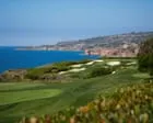Armed Individual Apprehended at Trump's California Golf Course