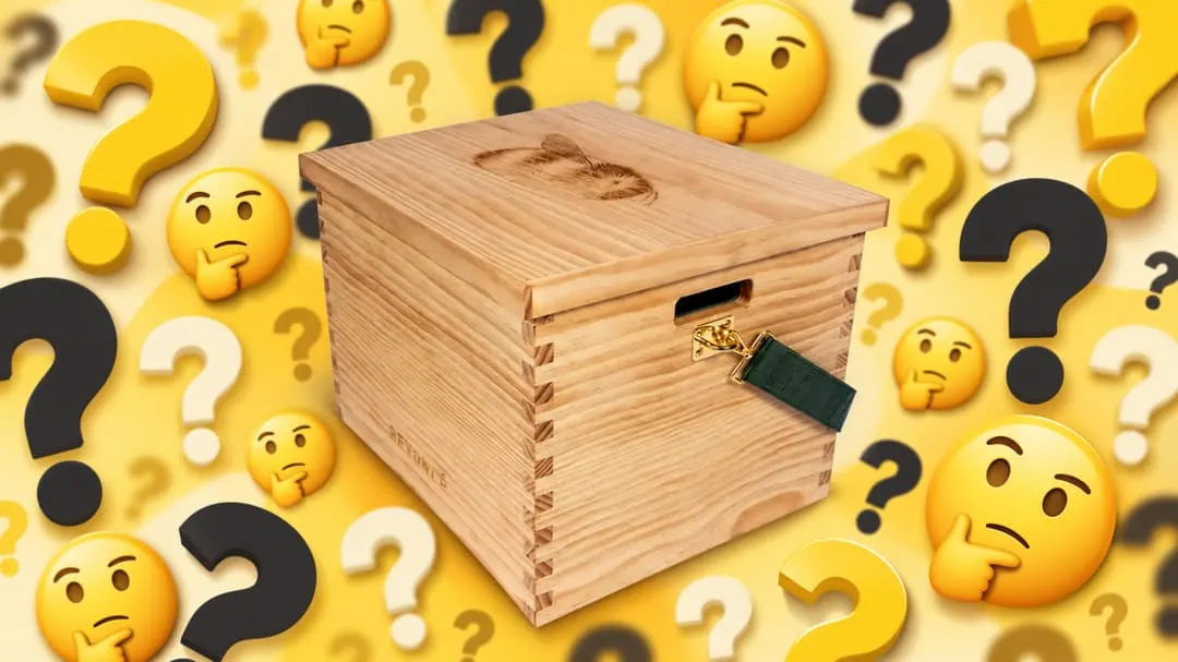 Beyoncé's $948 Wooden Box: Artwork or Absurdity?