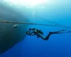 Blue Planet III Is Leaning Into Blurry Footage — and That's the Point