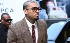 Chris Brown Seeks New Trial Over $13M Dog Attack Verdict Amid Controversy