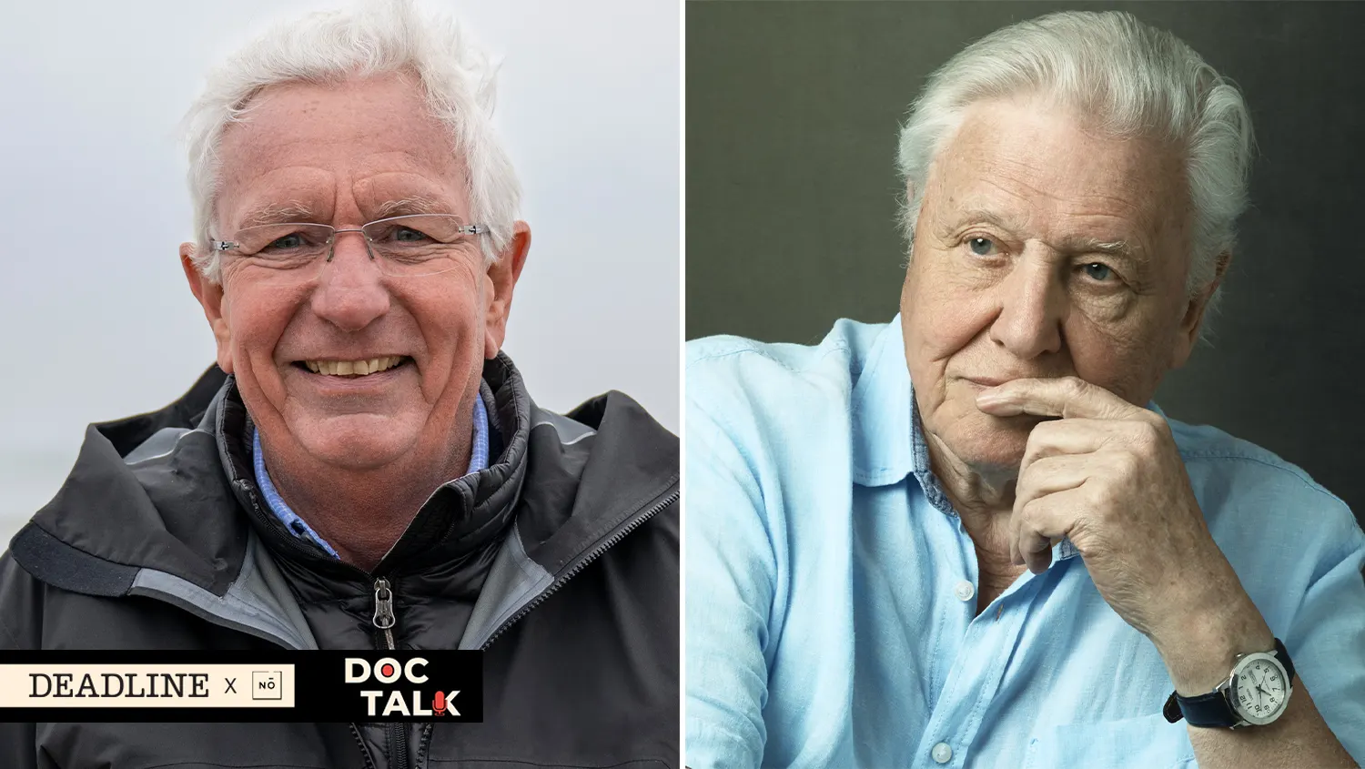 David Attenborough's Emmy-Nominated Voyage into Ocean Mysteries