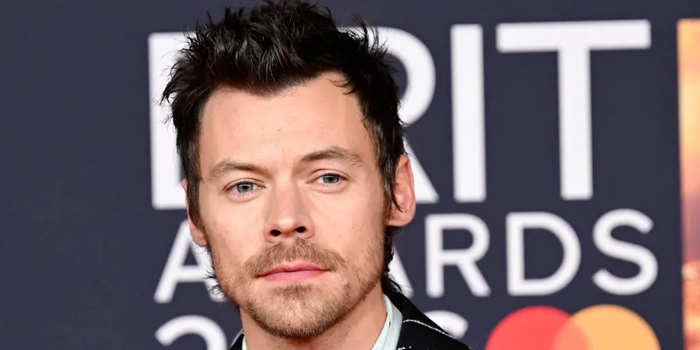 Harry Styles' On-Stage Incident Sparks Fan Concern During London Show