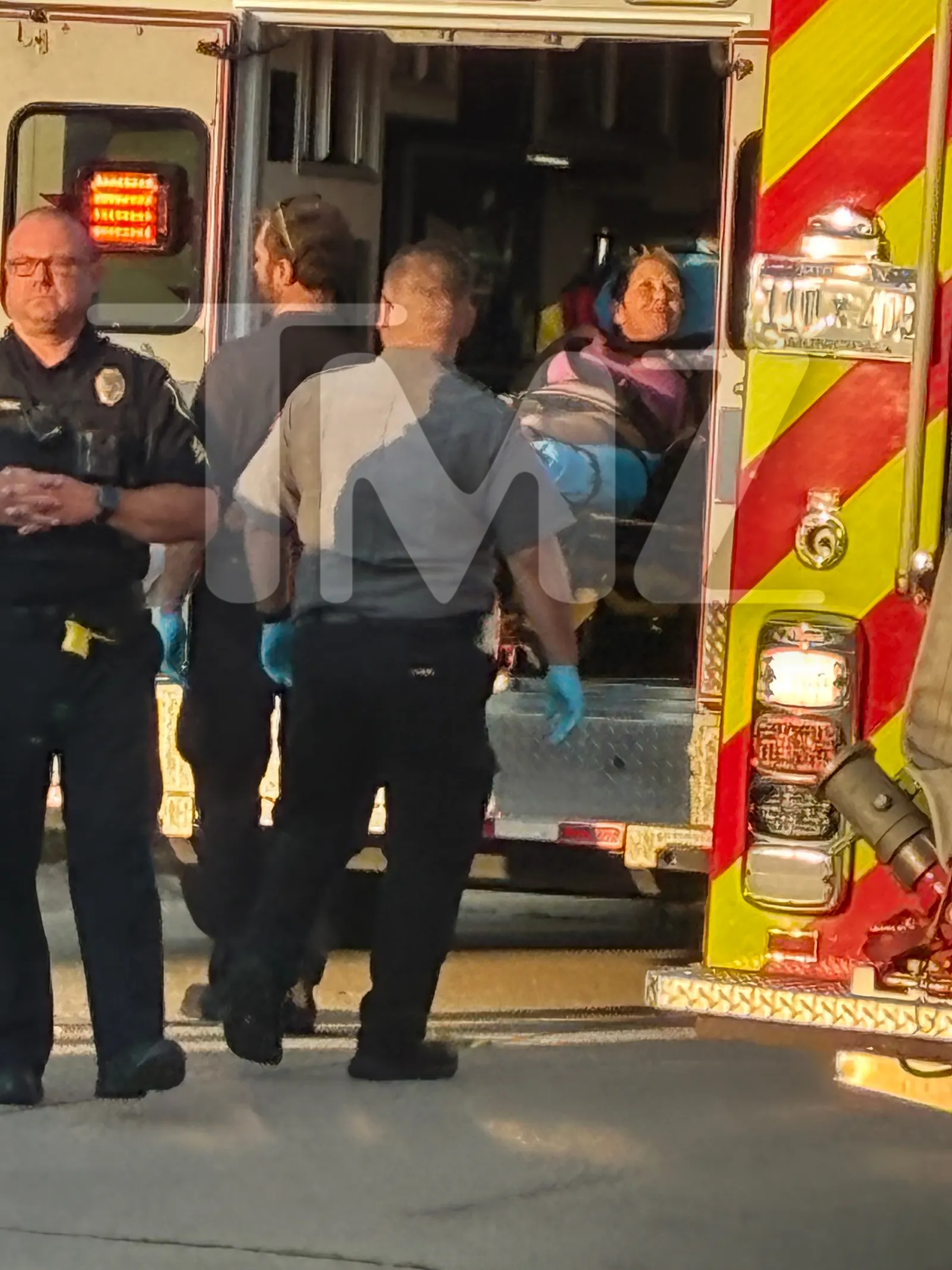 Kim Scott Tased and Arrested After Suicide Attempt at Michigan Home