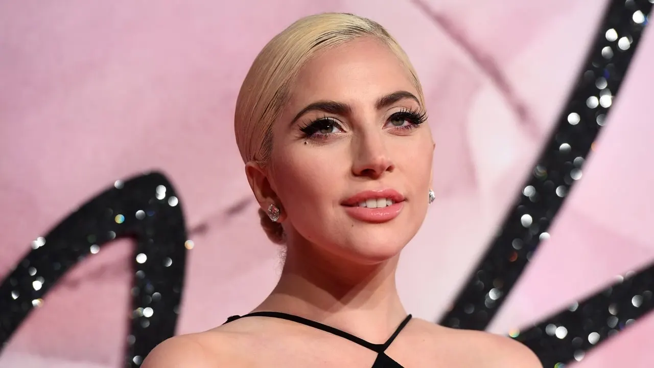 Lady Gaga's Adorable New Mom Vibe Shines in Bay Area Outing