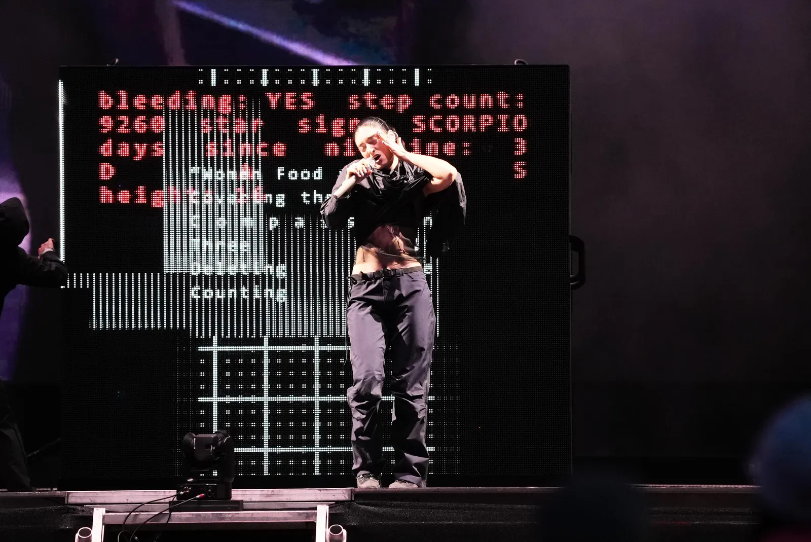 Lorde Speaks Out Against AI Glasses at Real Cool Festival
