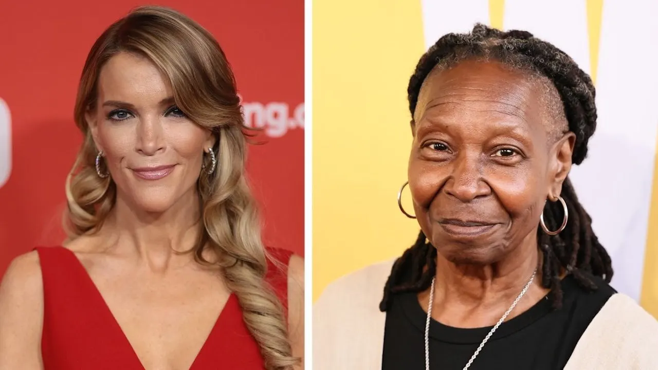 Megyn Kelly Claps Back at Whoopi Goldberg's Salary Comments