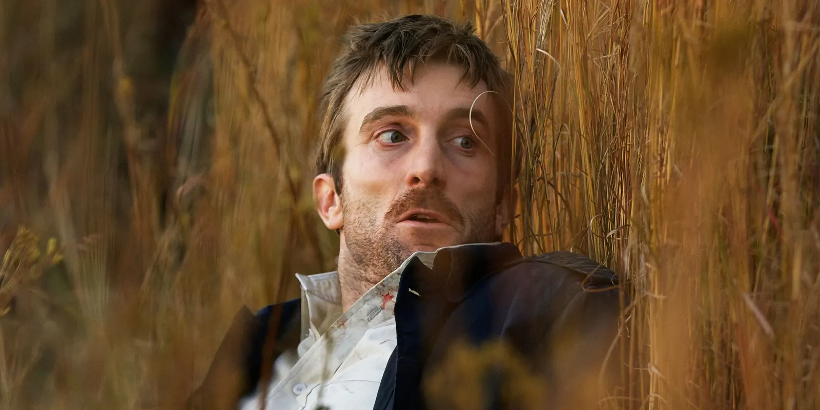 Peter Jackson's 'District 9' Clocks Into Free Streaming After 15 Years