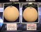 Political Controversy Surrounds Shizuoka Crown Melons Gift to Albanese