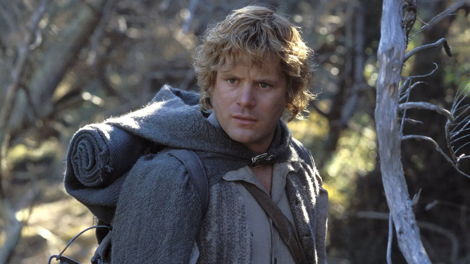 The Enduring Legacy of Sam Gamgee's Quote in The Lord of the Rings