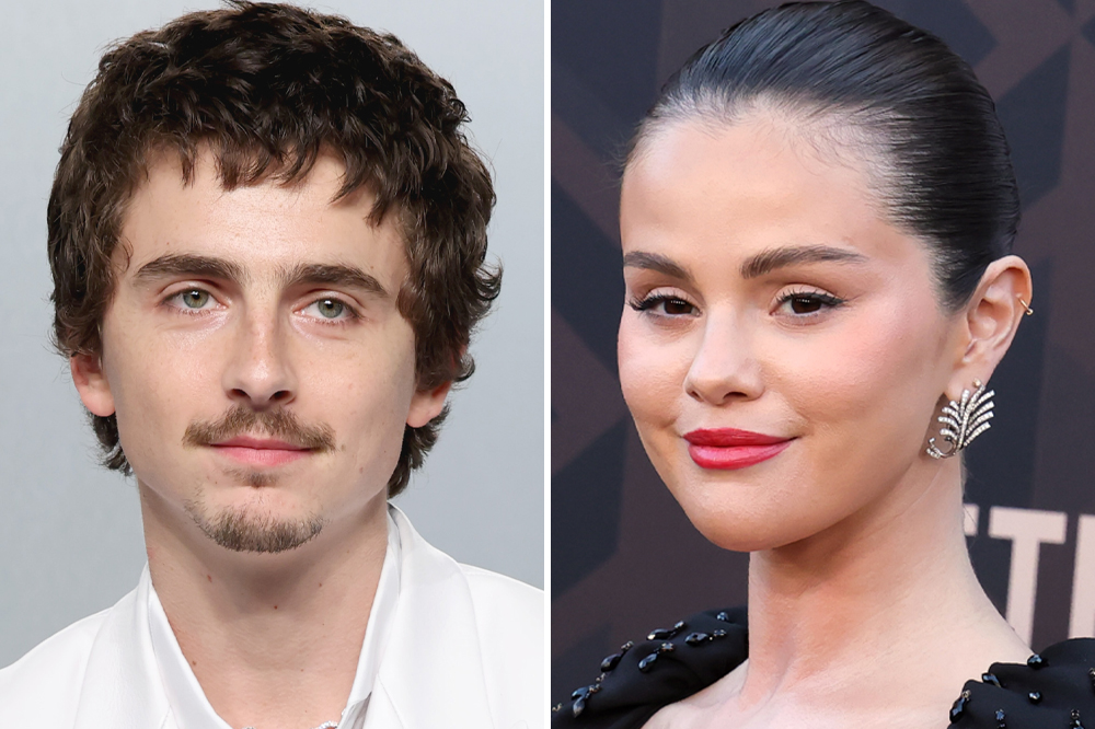 Timothee Chalamet Makes Animation Debut in Illumination's 'Not Alone'