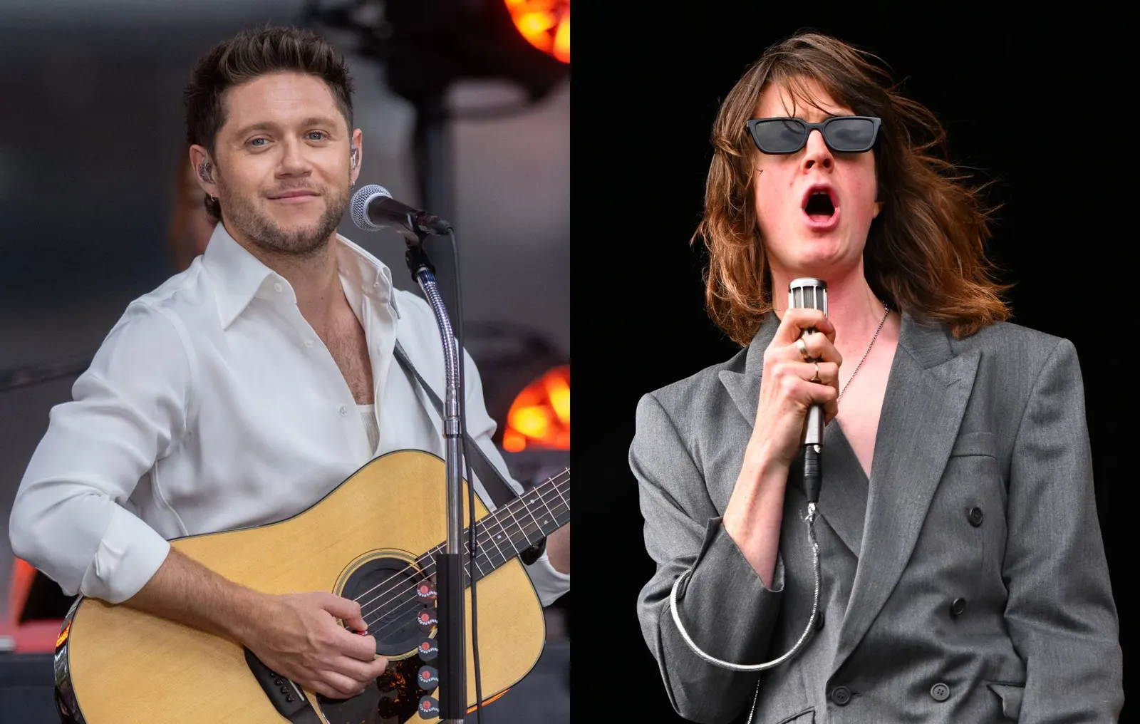 Tom Ogden Crashes Niall Horan's Manchester Show for 'Charlemagne'