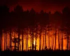 Wildfires Surge in Spain and France Ahead of Upcoming Heatwave