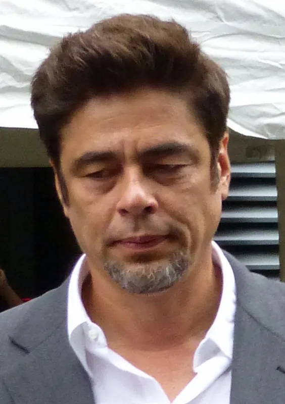 Benicio del Toro — photo 1