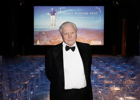 David Attenborough — photo 2